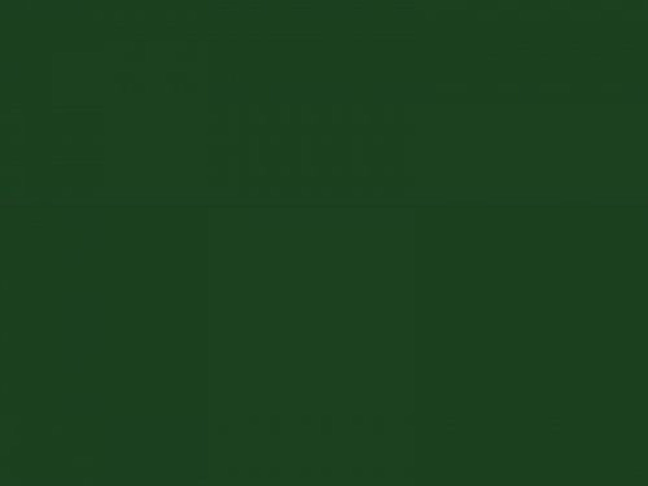 Peinture 142 Vert foncé, en aérosol