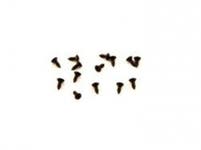 Kit de fixation de sangle de capot pour Volvo PV444, PV544, Duett -62 — bild 1 av 2