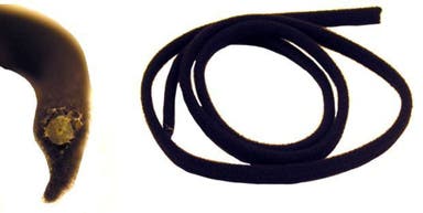 Baguette de finition de toit ouvrant pour Volvo 140, 164, 240, 260 (arrière)