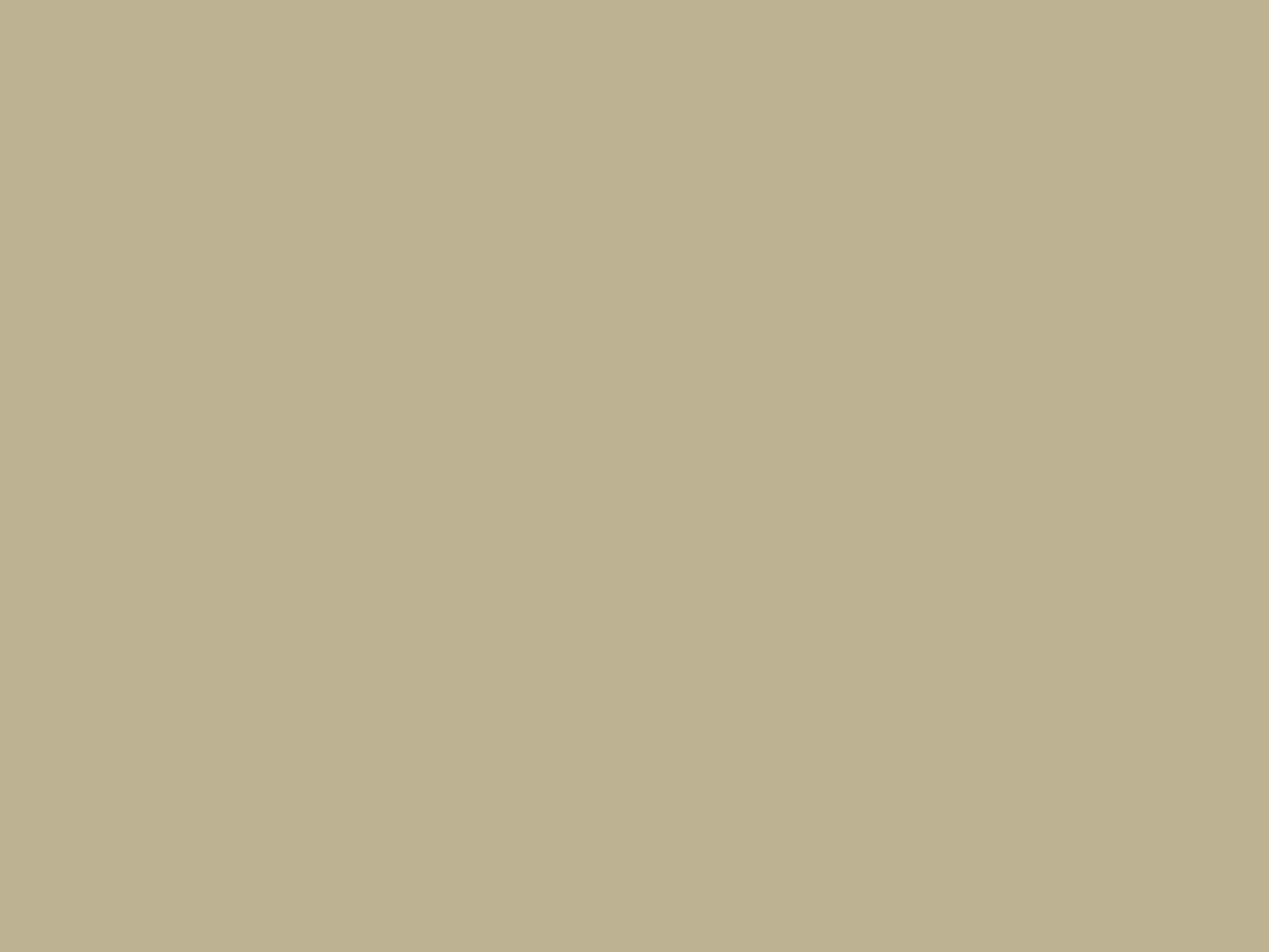 Peinture 119 Beige metallic