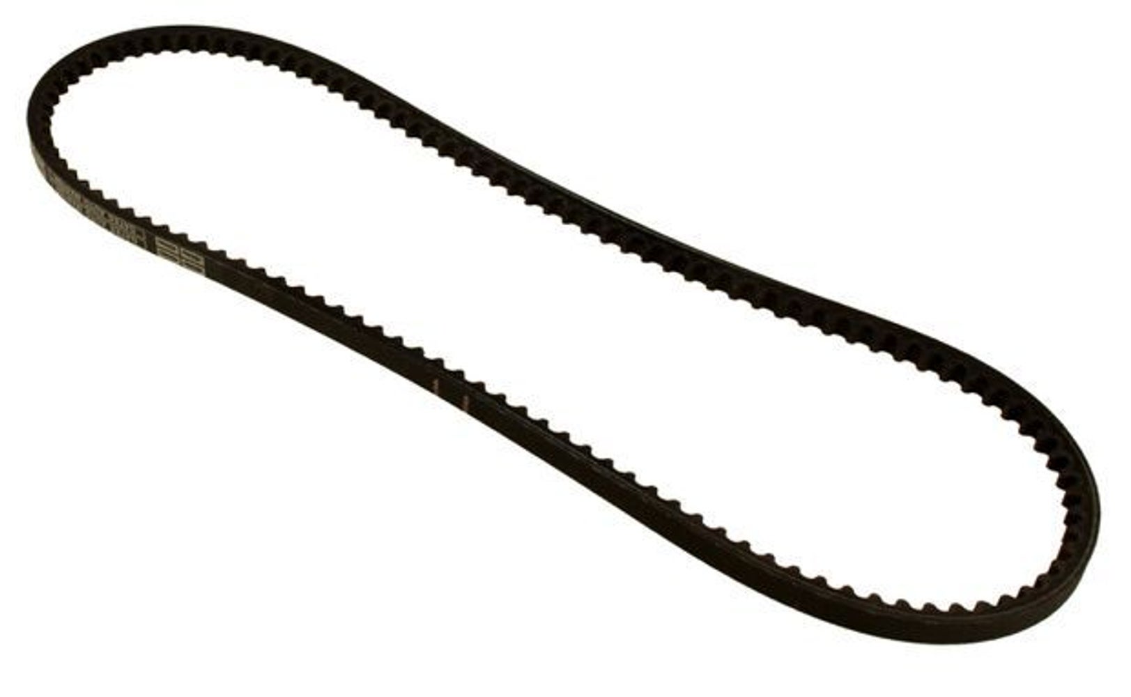 Courroie de ventilateur B19/B21